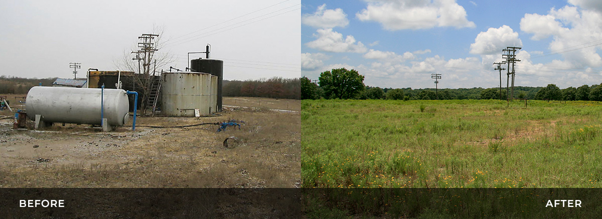 Before and after images Williamson site