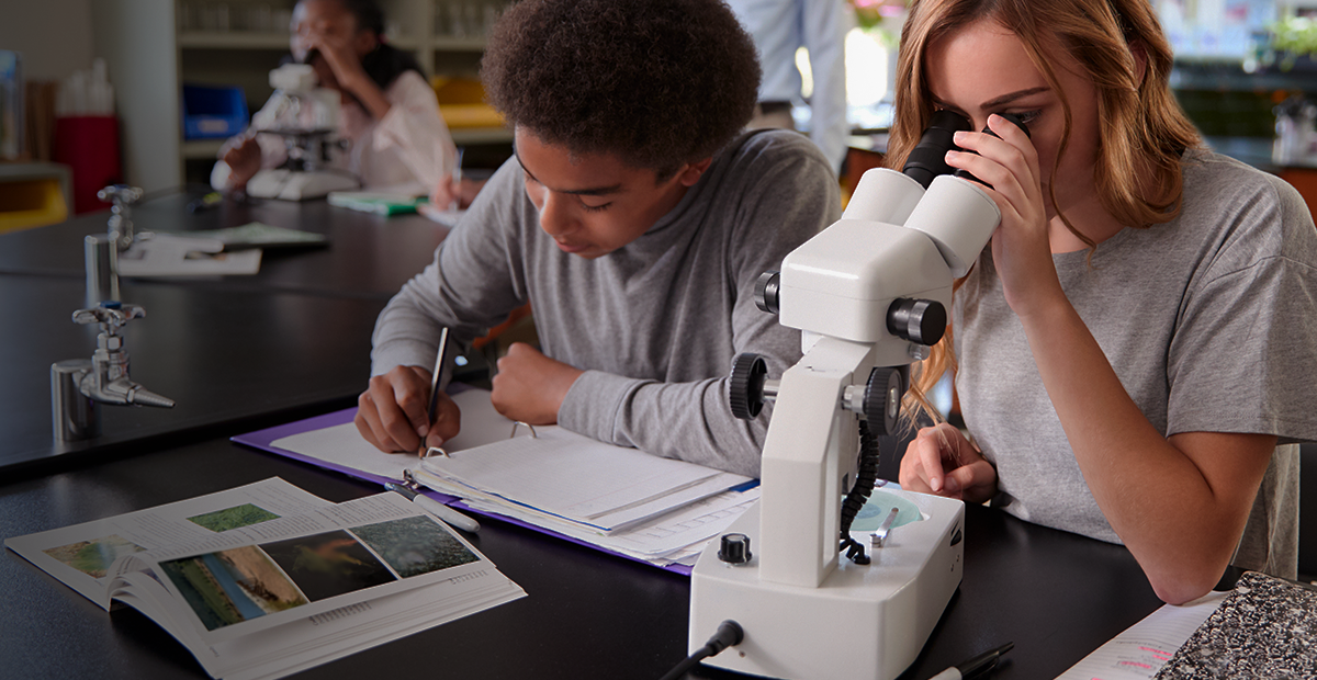 High school students making notes and reviewing slides in a microscope