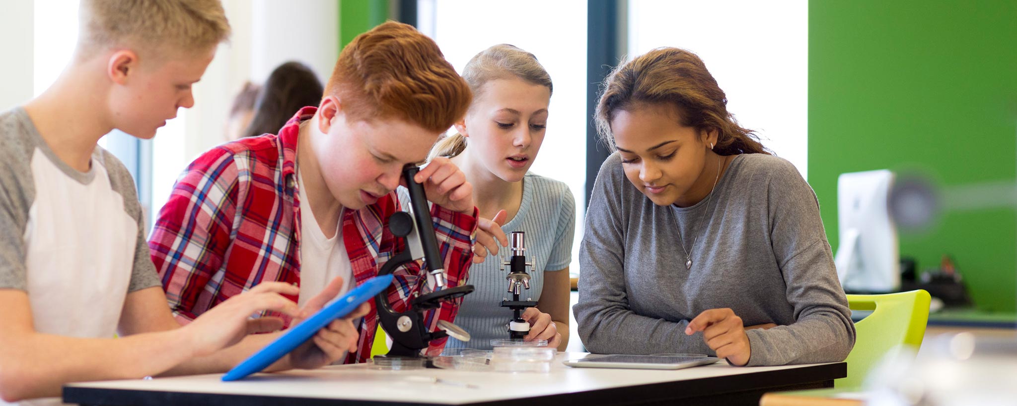 Children in school viewing slides on a microscope