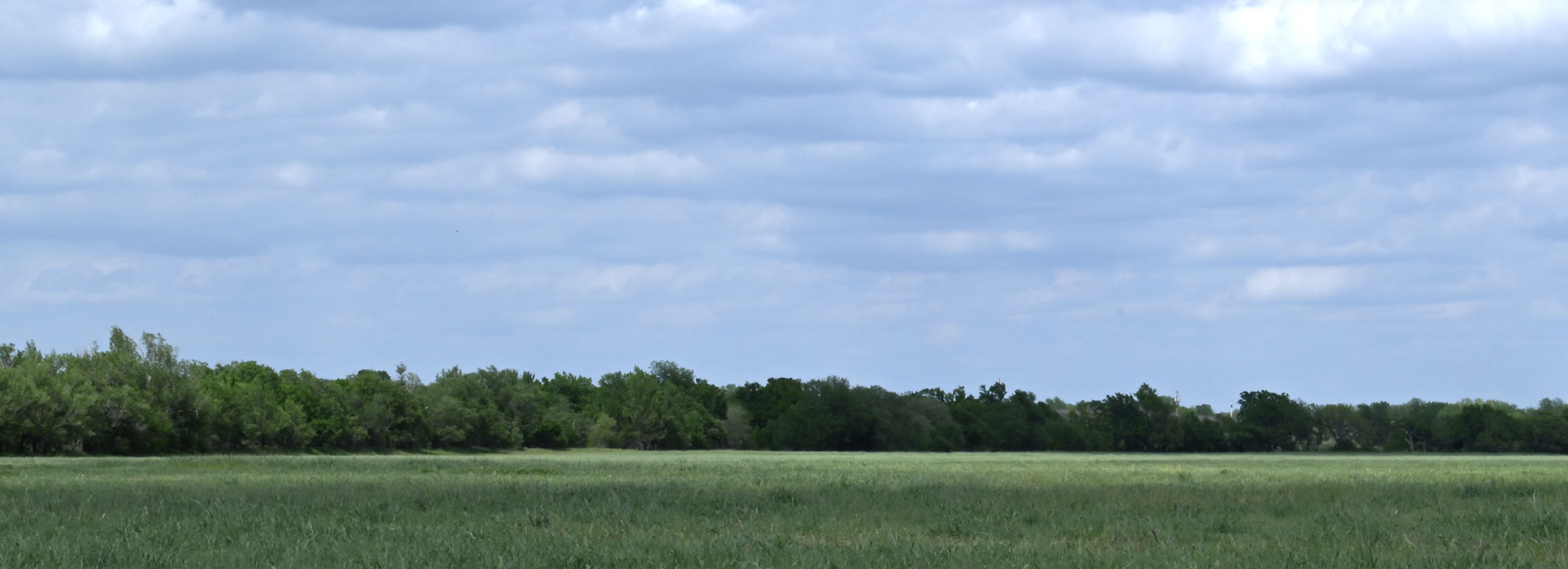 field after restoration