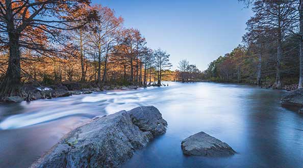 A river with rocks in the foreground flowing between trees