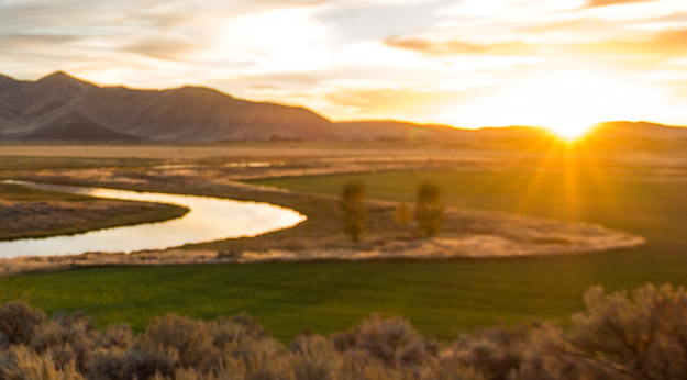 Field with a river at sunrise